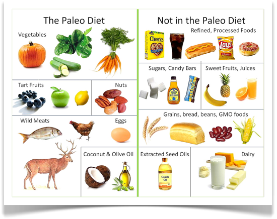 Paleo Diet Food Chart - Open Sky Fitness
