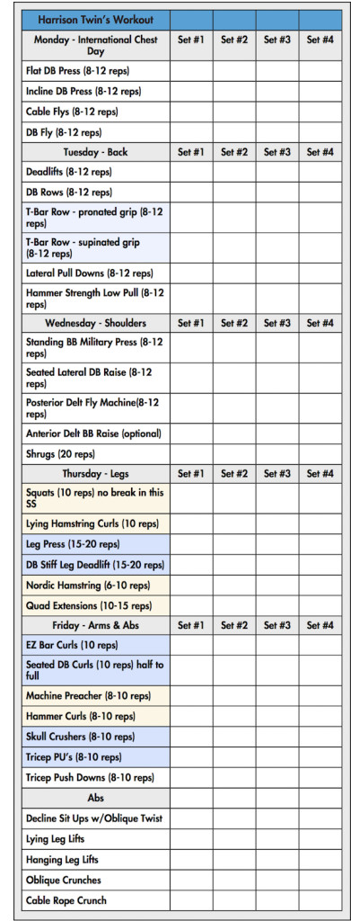 Harrison Twin Workout - Open Sky Fitness