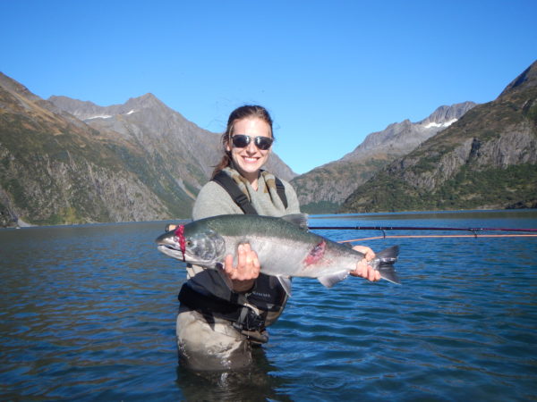 Fly fishing for Silver Salmon