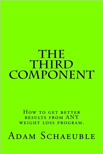 The Third Component by Adam Schaeuble